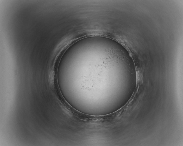 X0000111610243200907171229
