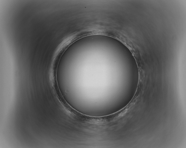 X0000111610245200907171229