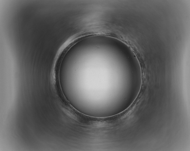 X0000111610246200907171229