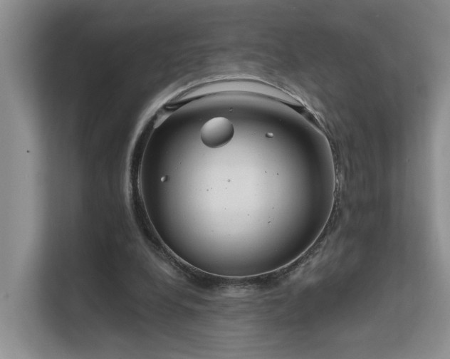 X0000111610248200907171229