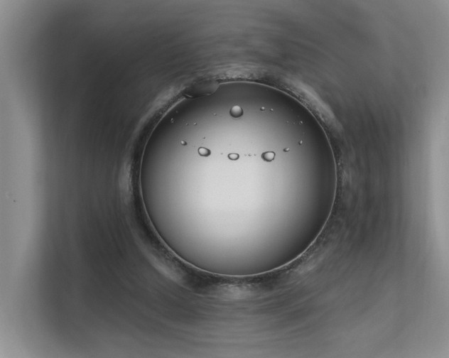 X0000111610250200907171229