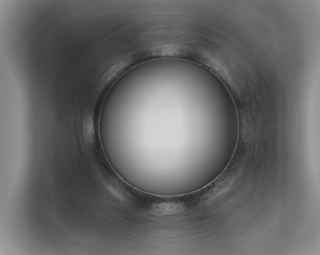X0000111610251200907171229