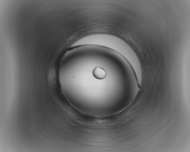 X0000111610260200907171230