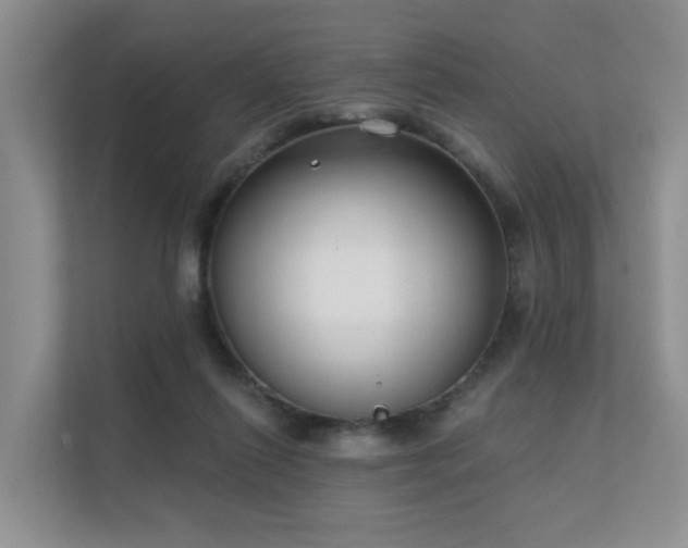X0000111610262200907171230