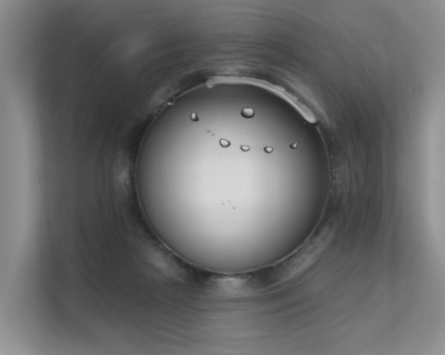 X0000111610265200907171230