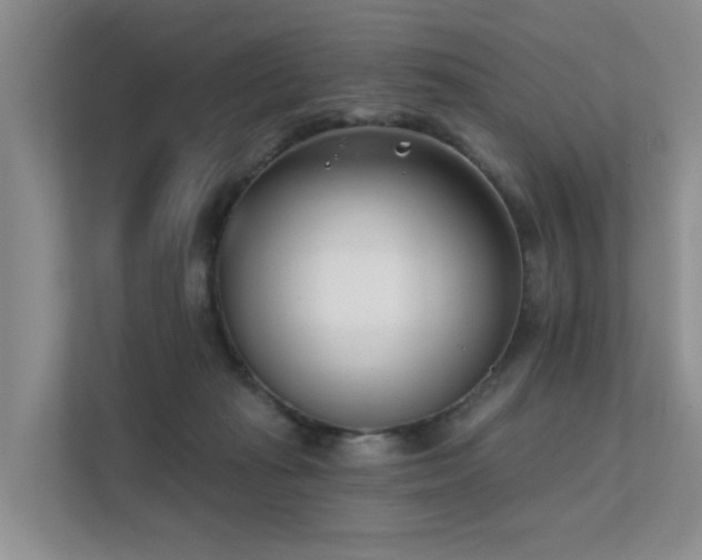 X0000111610269200907171230