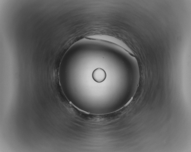 X0000111610276200907171230