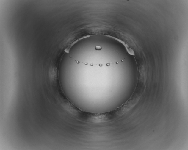 X0000111610278200907171230