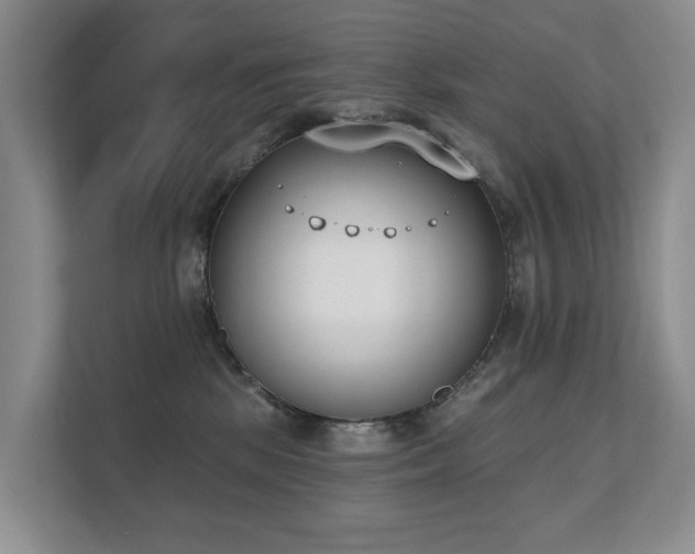 X0000111610281200907171230