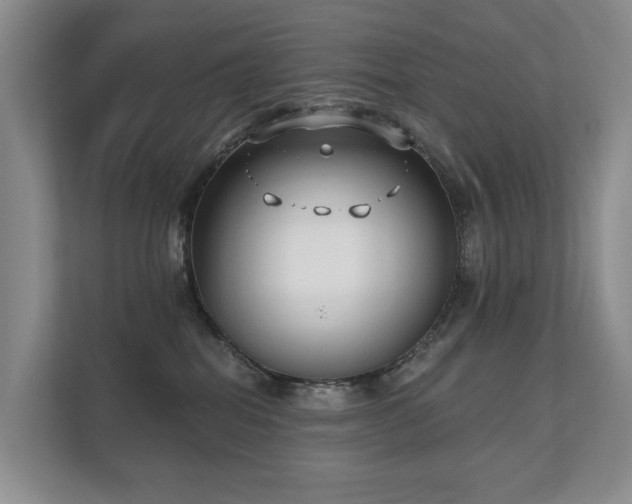 X0000111610282200907171230