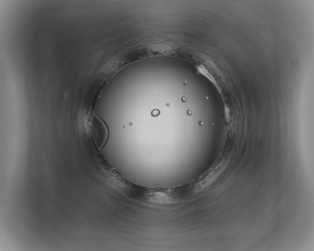 X0000111610285200907171230