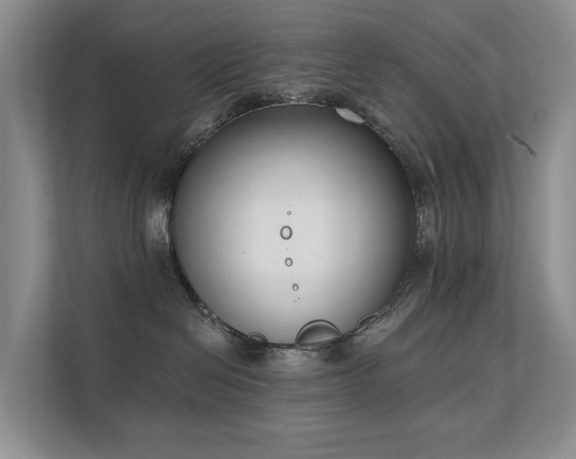 X0000111610286200907171230