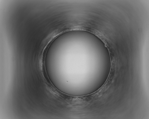 X0000111610290200907171229