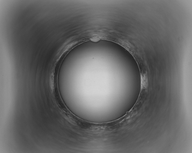 X0000111610291200907171229