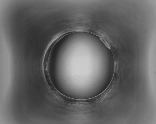 X0000111610292200907171229