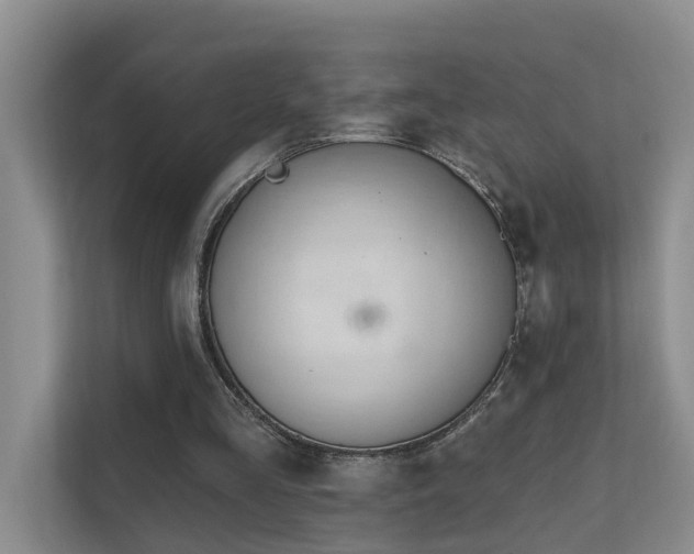 X0000111610293200907171229
