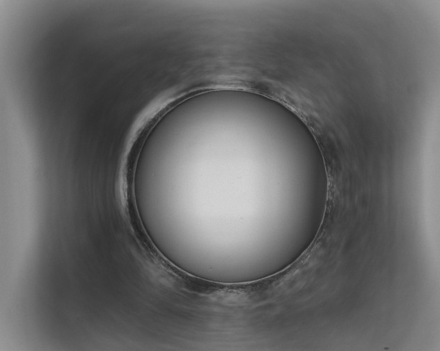 X0000111610294200907171229