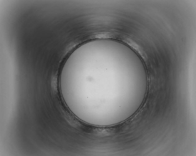 X0000111610297200907171229