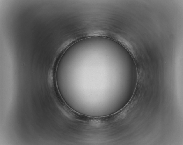X0000111610298200907171229