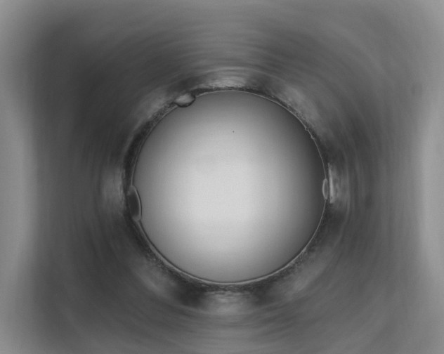 X0000111610300200907171229