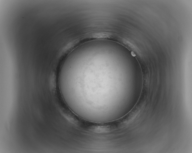 X0000111610303200907171229