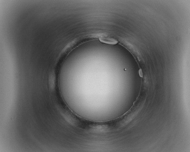 X0000111610304200907171229