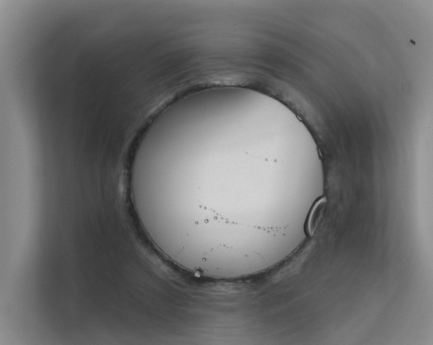 X0000111610305200907171229