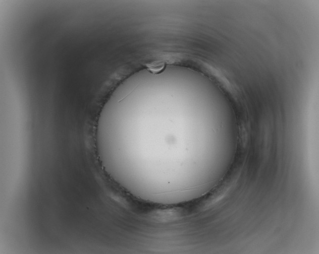X0000111610307200907171229