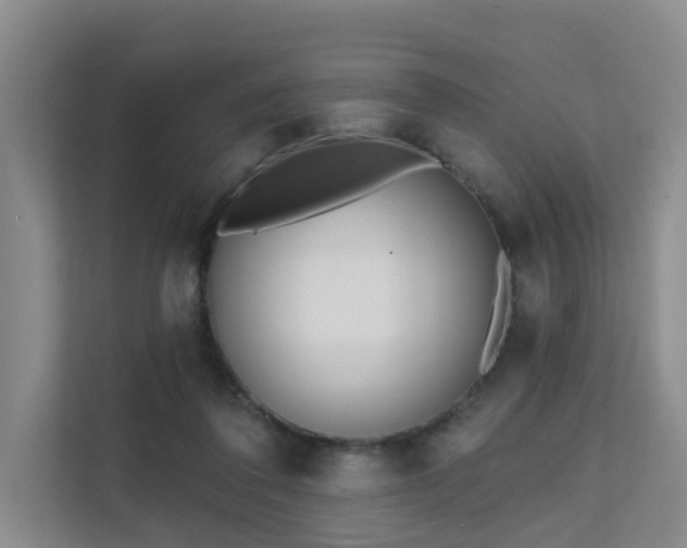 X0000111610308200907171229
