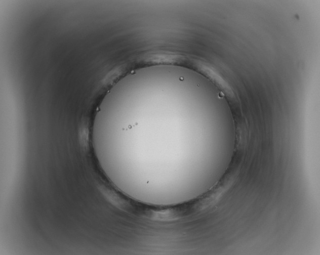 X0000111610309200907171229
