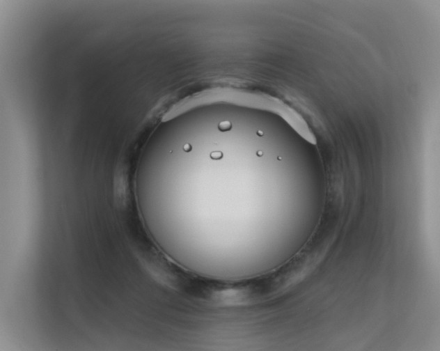 X0000111610312200907171229