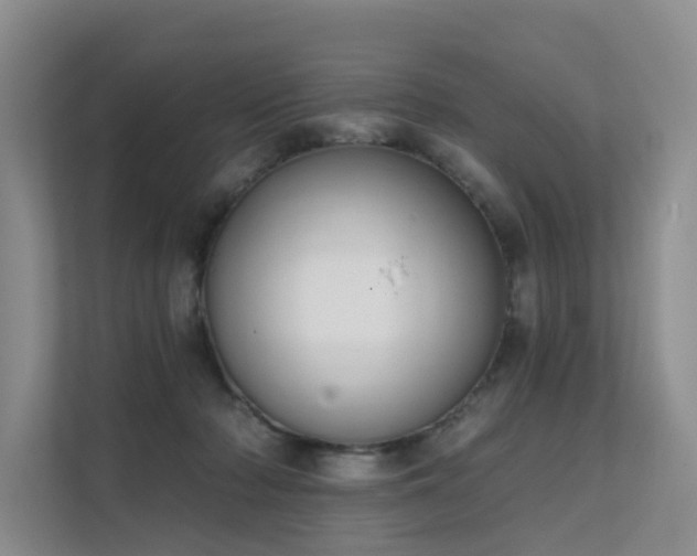 X0000111610318200907171229