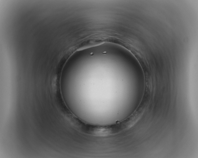 X0000111610319200907171229