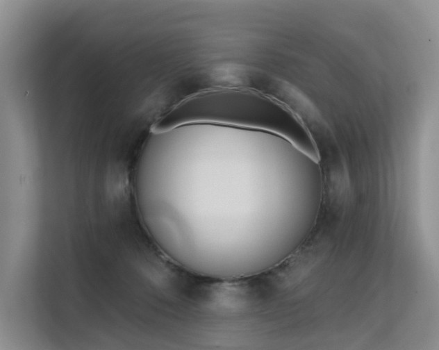 X0000111610320200907171229