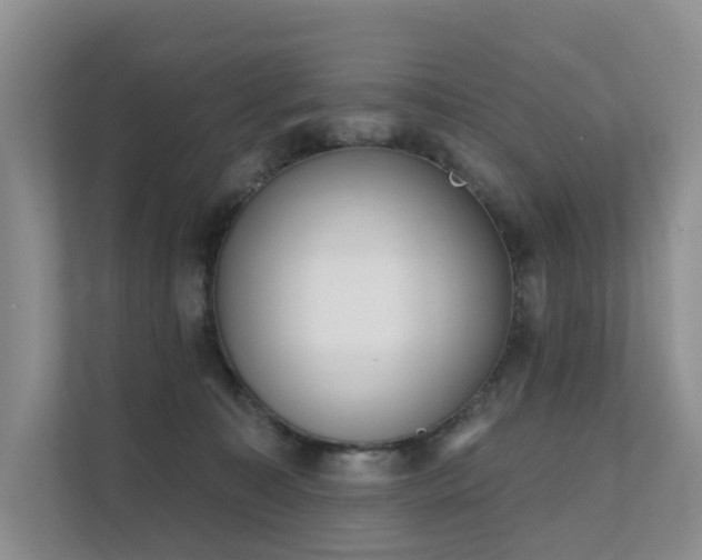 X0000111610323200907171229