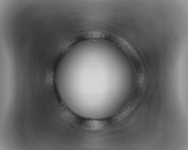 X0000111610326200907171229