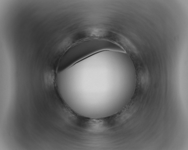 X0000111610328200907171229