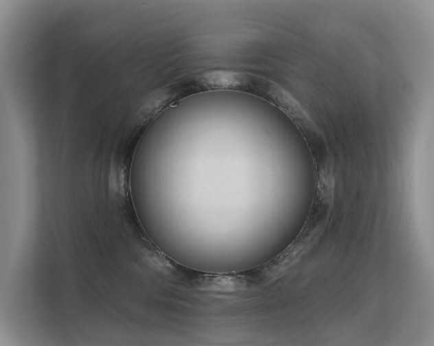 X0000111610330200907171229