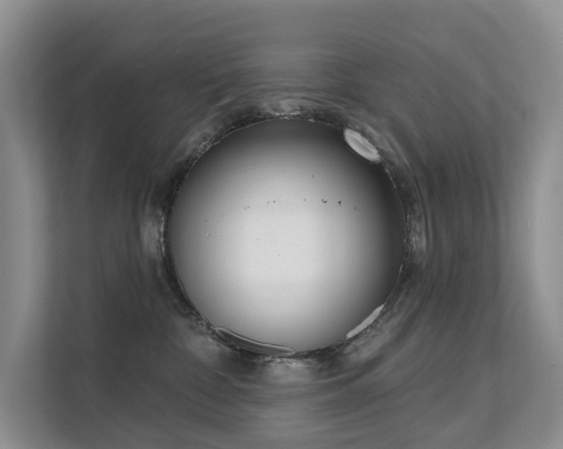 X0000111610332200907171229