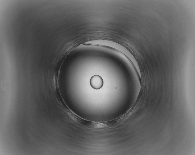 X0000111610333200907171229