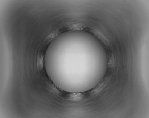 X0000111610334200907171229