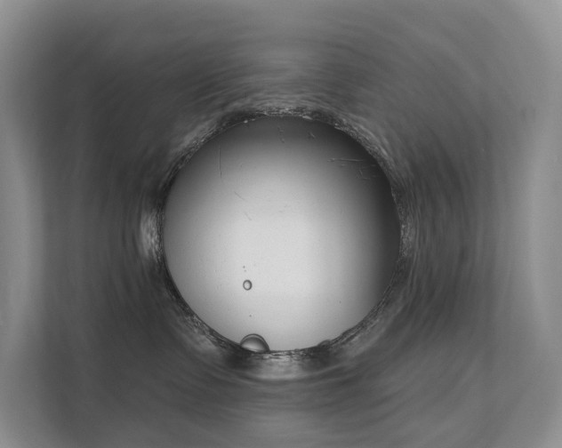 X0000111610335200907171229