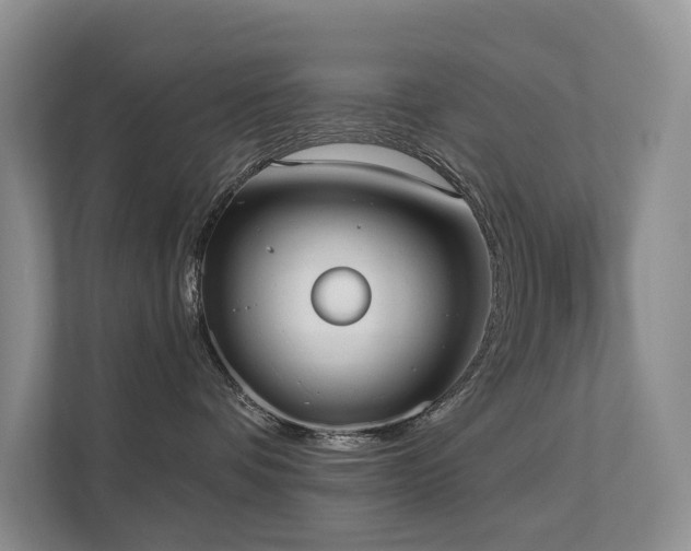 X0000111610336200907171229