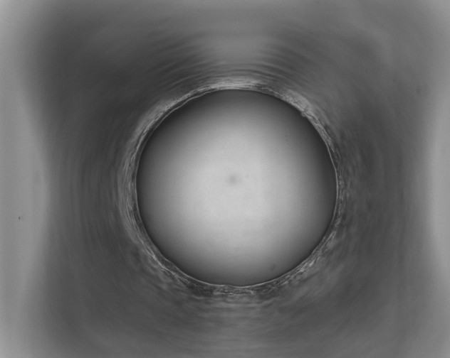 X0000111610337200907171228