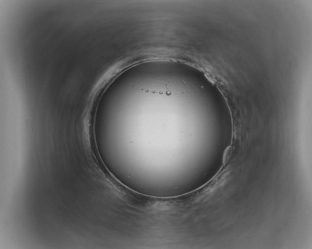 X0000111610341200907171228