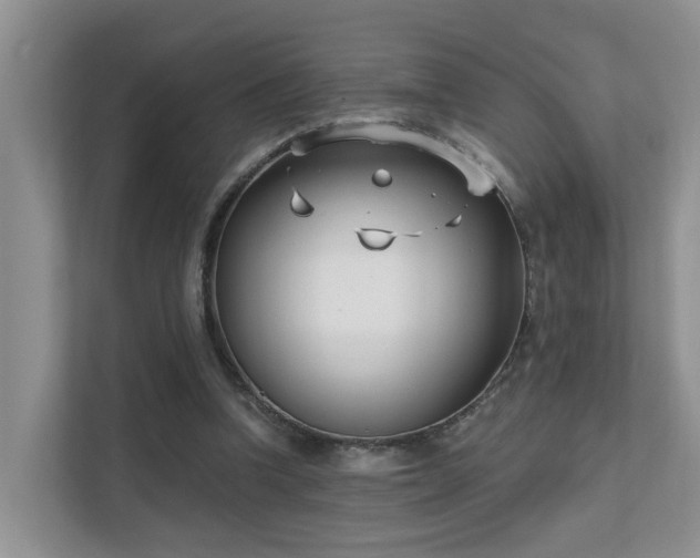 X0000111610346200907171228