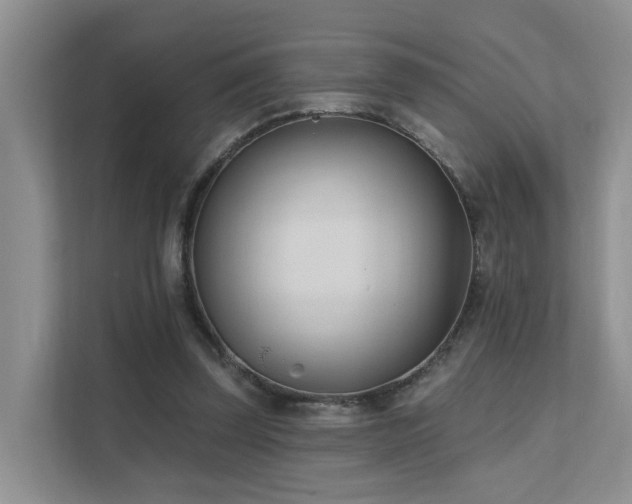X0000111610347200907171228