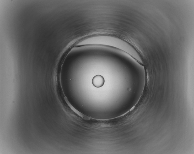 X0000111610348200907171228