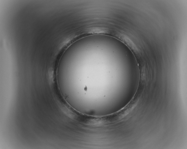 X0000111610351200907171228