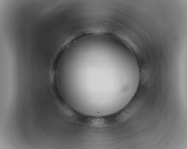 X0000111610355200907171228
